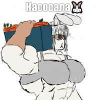 498x498