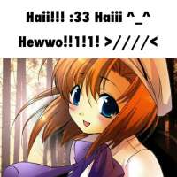 736x736