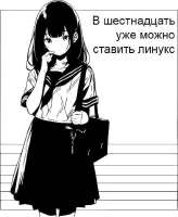 515x626