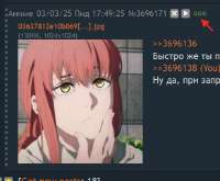 492x407