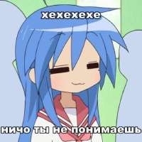 736x736