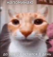 828x888
