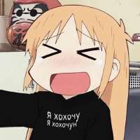 736x736