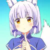 736x736