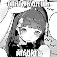 736x736