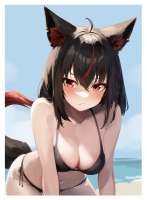 2507x3393
