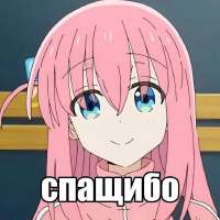 736x736