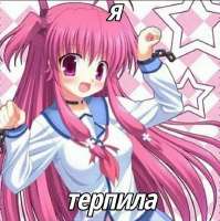 735x736