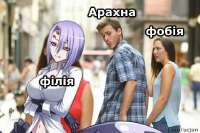 659x439