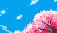 480x276