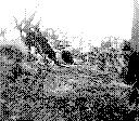 128x112