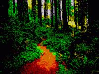 256x192