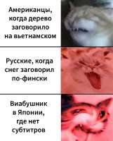 999x1238