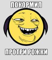 528x604