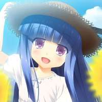 736x736