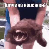 320x320