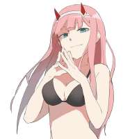 736x736