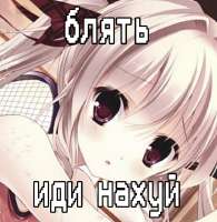 736x752