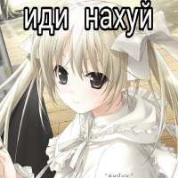 736x736
