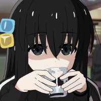 736x736