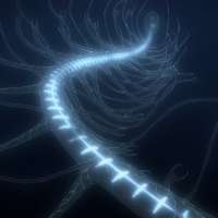900x900