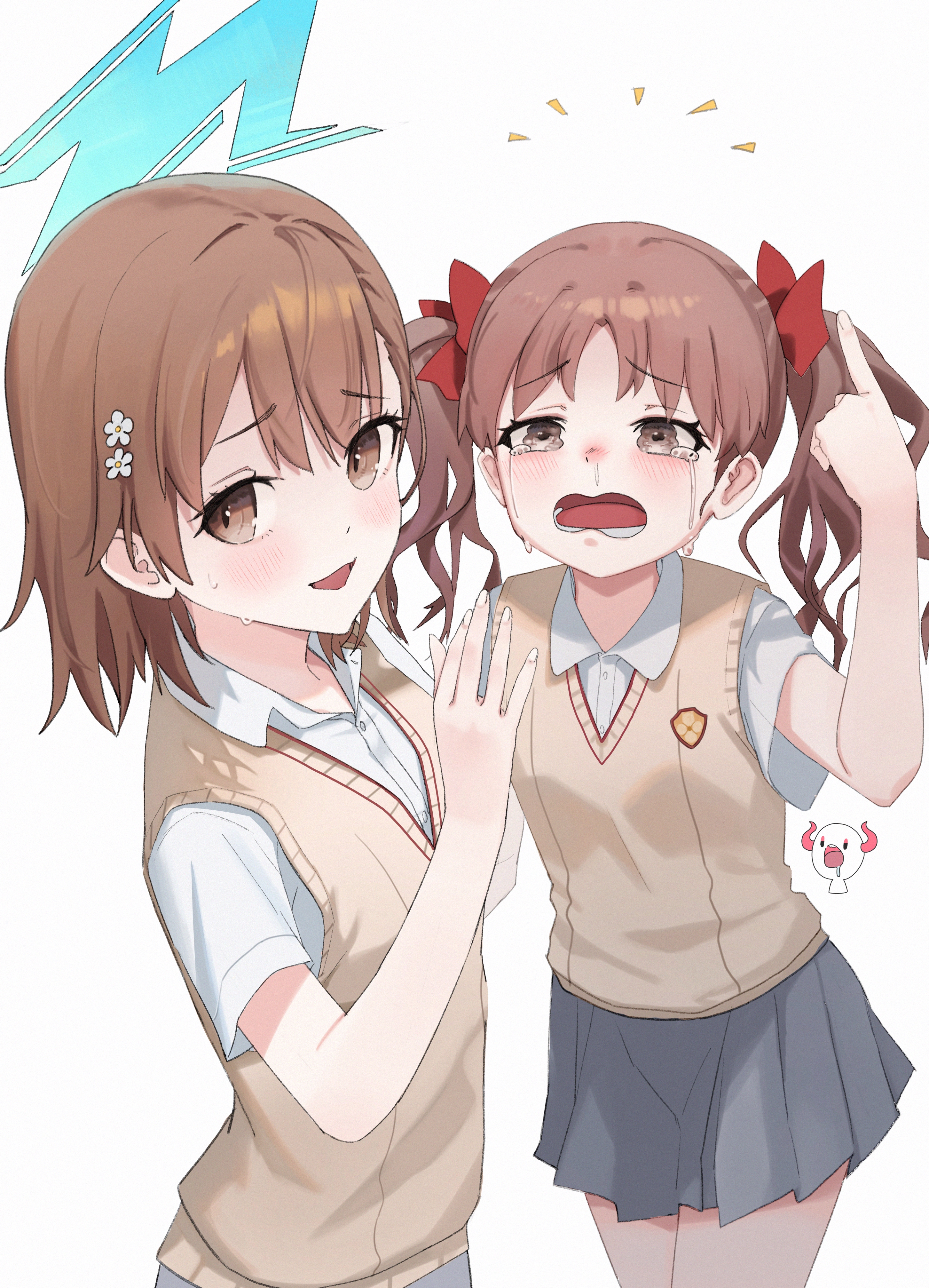 2905x4026