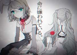 2021x1446