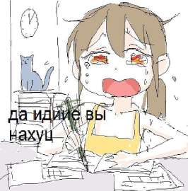 597x604