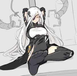 2630x2611