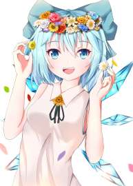 2439x3412