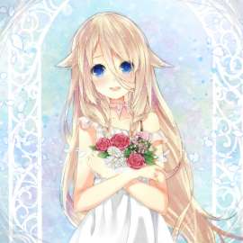 1906x1906