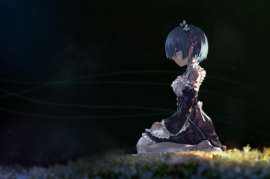 1500x995