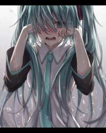 800x995