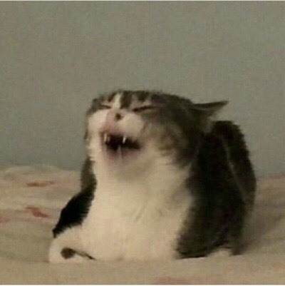400x401