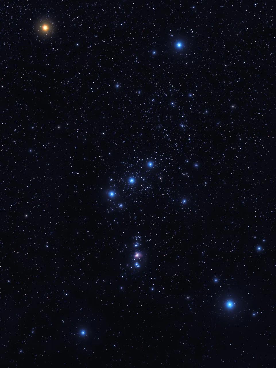 961x1280