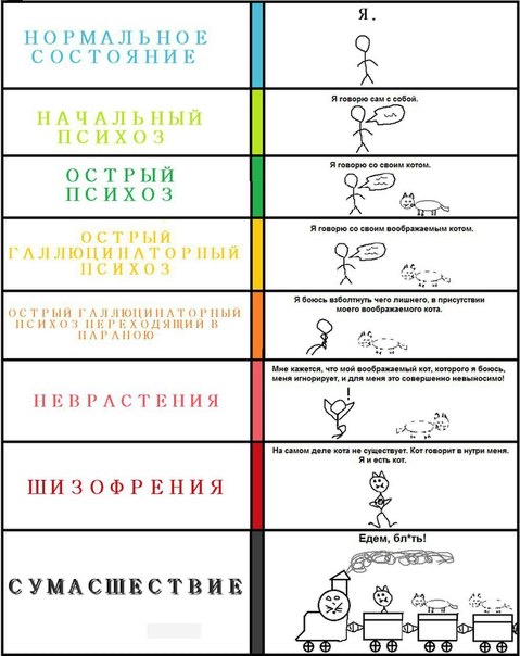 479x604