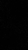 412x732