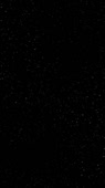 412x732