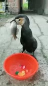 360x640