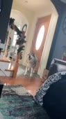 360x640