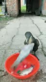 360x640