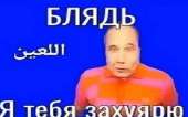 736x463