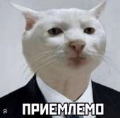 784x774