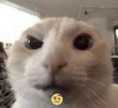 857x789