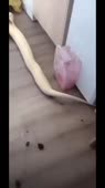 360x640