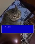 256x320