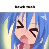 480x480