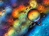 800x586