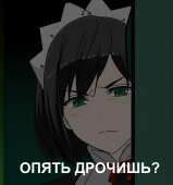 961x1024