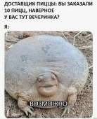 879x1080